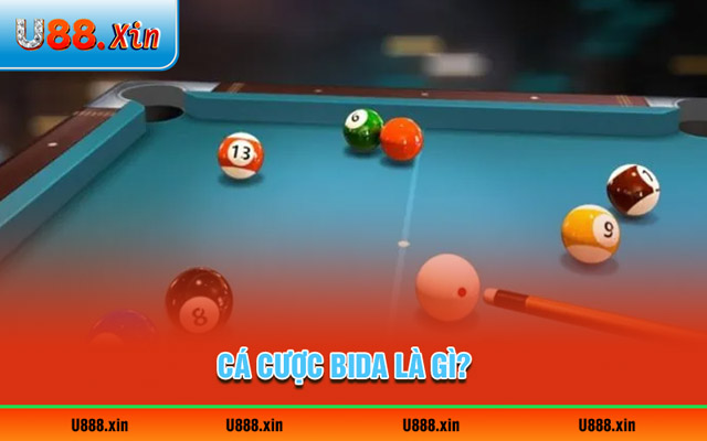 Cá cược Bida là gì? 