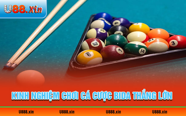 Kinh nghiệm chơi cá cược Bida thắng lớn từ cao thủ 