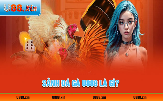 Sảnh đá gà U888 là gì?