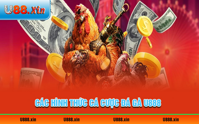 Các hình thức cá cược đá gà U888 phổ biến nhất